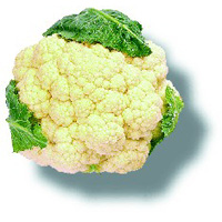 Chou-fleur Chou-fleur