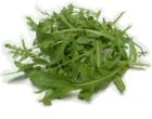 Roquette Roquette