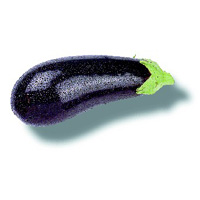 Aubergine Aubergine