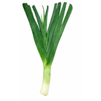 Poireau Poireau