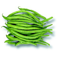 Haricot vert Haricot vert