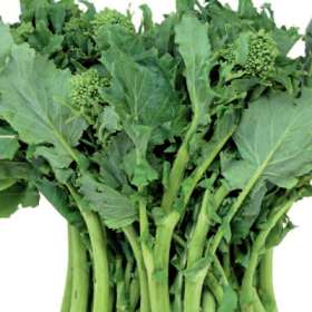 Cima di rapa Cima di rapa
