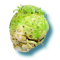 Céleri pomme Céleri pomme