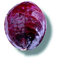 Chou rouge Chou rouge
