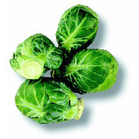 Chou de Bruxelles Chou de Bruxelles