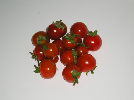 Tomate cherry Tomate cherry