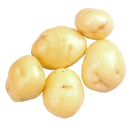 Pomme de terre primeur Pomme de terre primeur