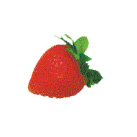 Fraise Fraise
