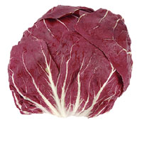 Chicorée rouge (Trévise et Palla Rossa) Chicorée rouge (Trévise et Palla Rossa)